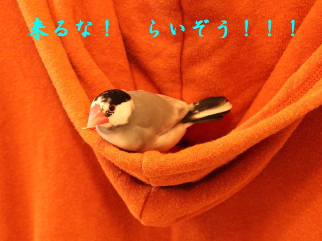 c0365734_23321161.jpg