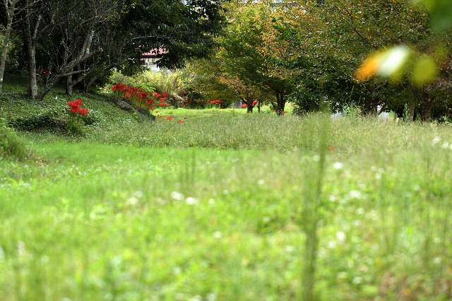 a0242438_19313979.jpg