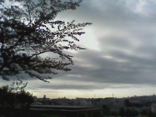 e0150843_1421990.jpg