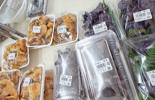 c0339546_17192342.jpg