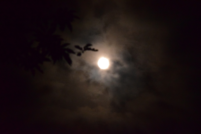 c0339546_17234165.jpg
