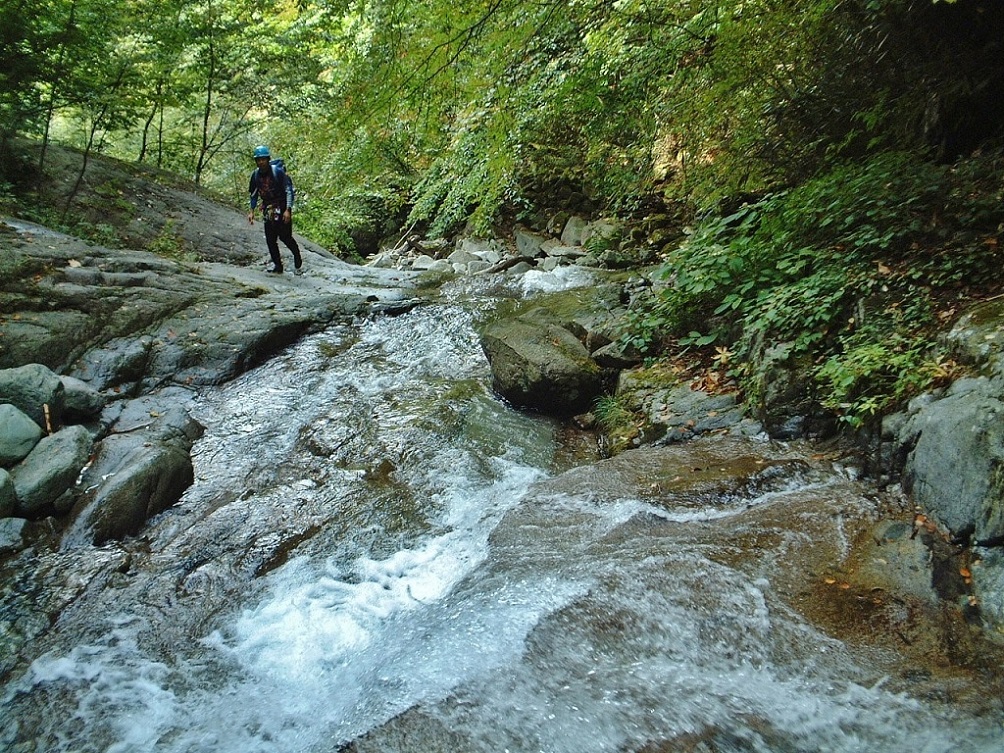 a0286351_1395821.jpg