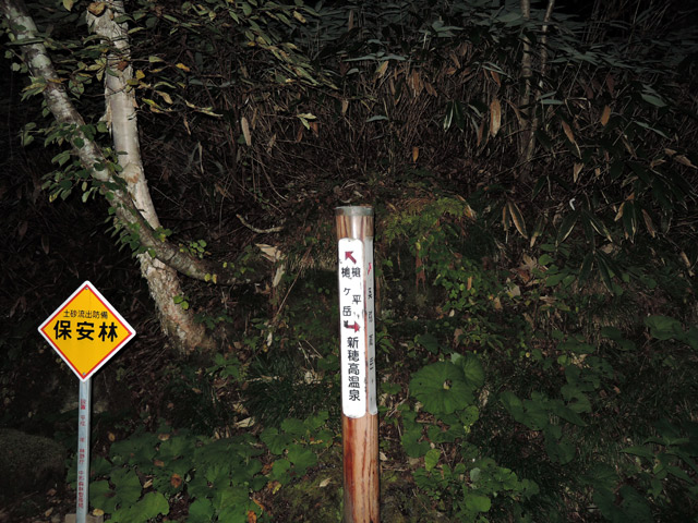 c0116856_21335675.jpg