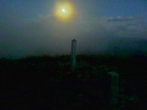 d0007657_208327.jpg
