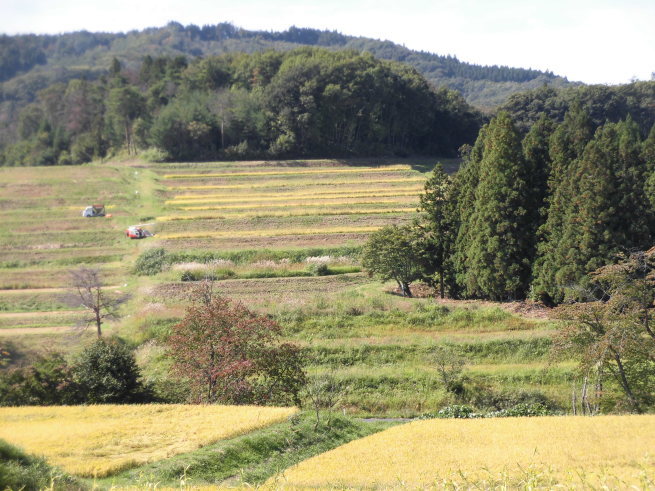 c0324959_16531550.jpg