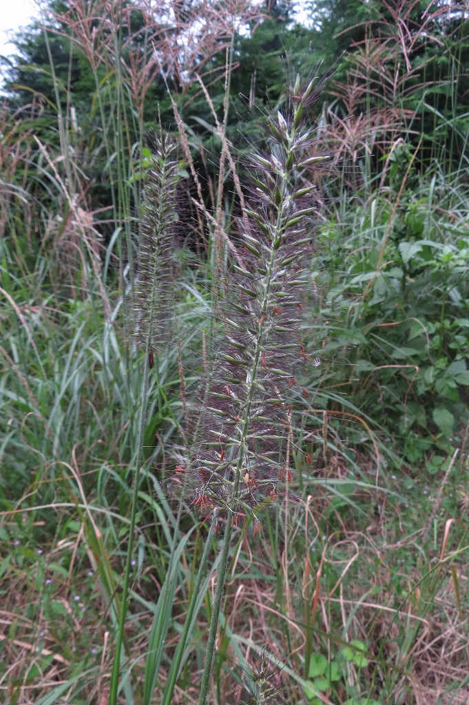 b0104861_19323890.jpg