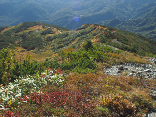 c0321967_21264875.jpg