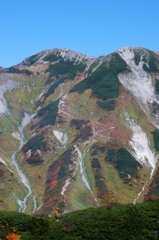 e0045768_2155406.jpg