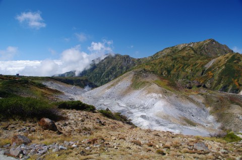 e0045768_223160.jpg