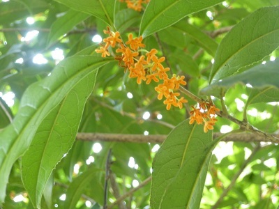 a0053480_09142417.jpg