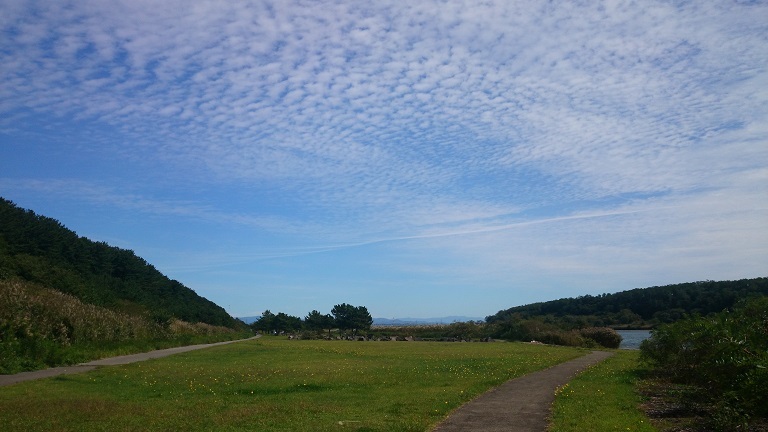 d0129083_14125752.jpg