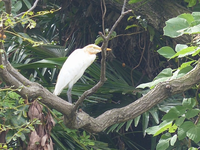f0357487_21442078.jpg