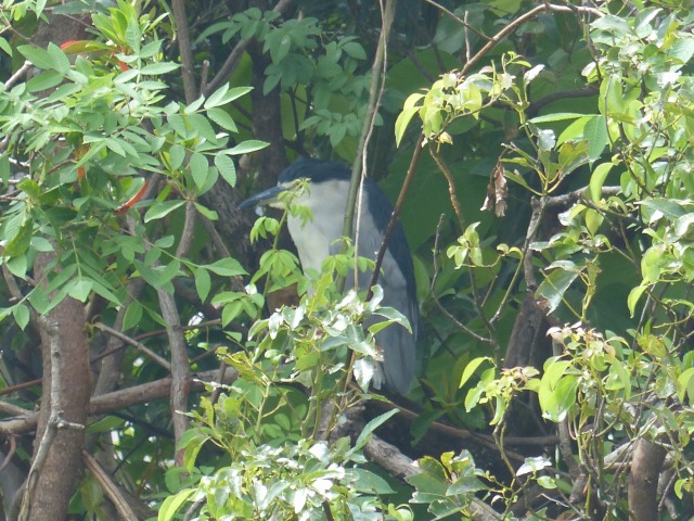 f0357487_21444192.jpg