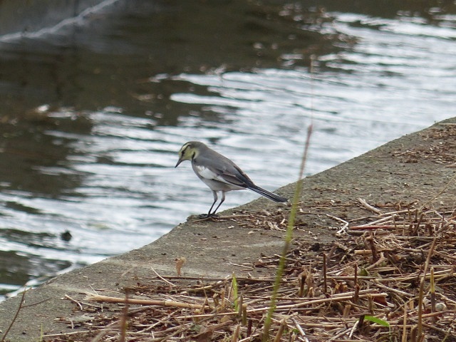 f0357487_21454138.jpg