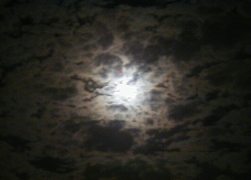 d0053294_147714.jpg
