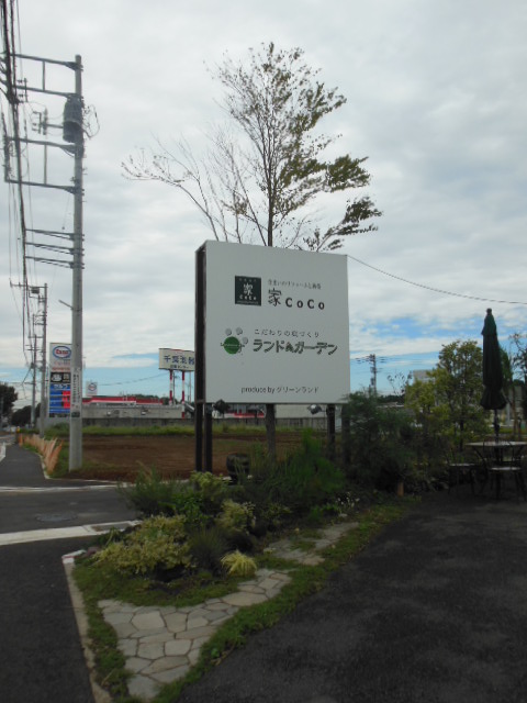 f0208812_2045797.jpg