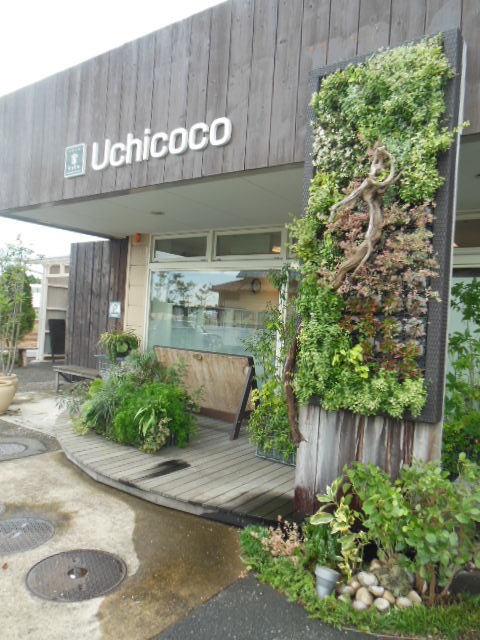 f0208812_2052052.jpg
