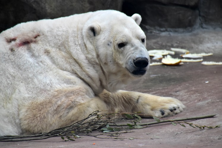 a0151913_8263287.jpg
