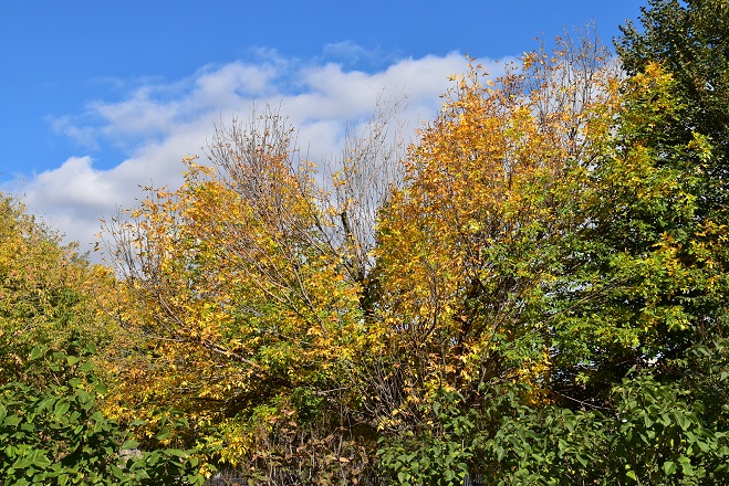 a0151913_8415038.jpg