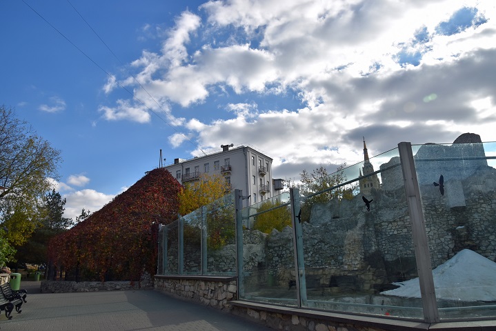 a0151913_9415327.jpg