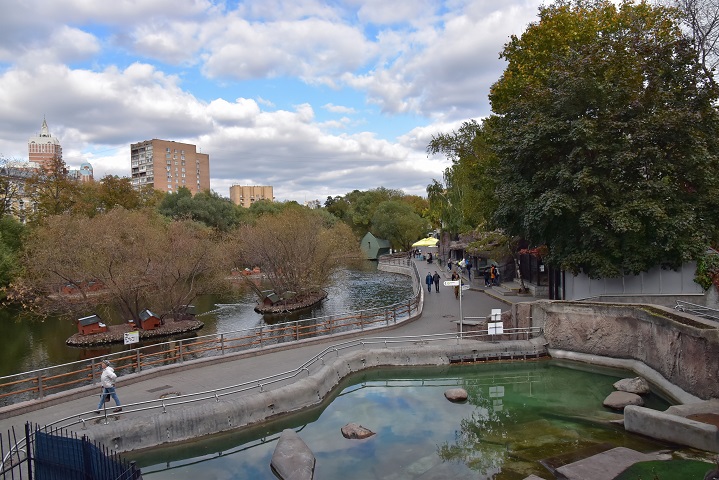 a0151913_9421129.jpg