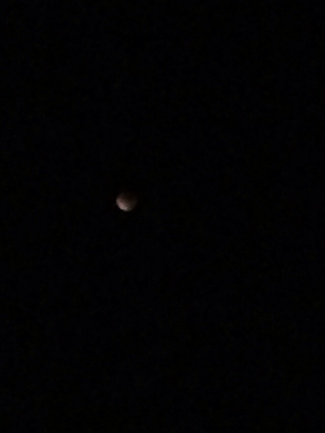 c0167813_18101413.jpg