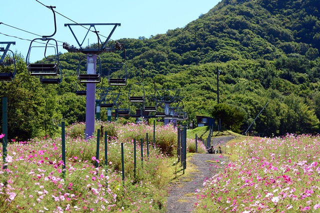 f0046614_10441771.jpg