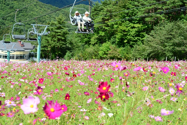 f0046614_11205032.jpg