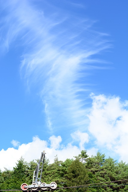 f0046614_1130304.jpg