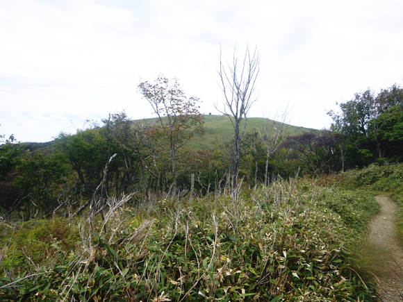 d0170615_1017750.jpg
