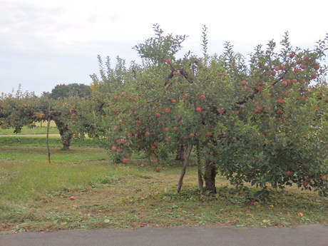 f0250515_1028137.jpg