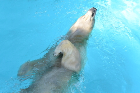 f0344626_00265346.jpg