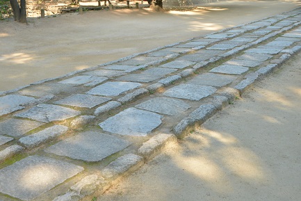 e0139234_918341.jpg