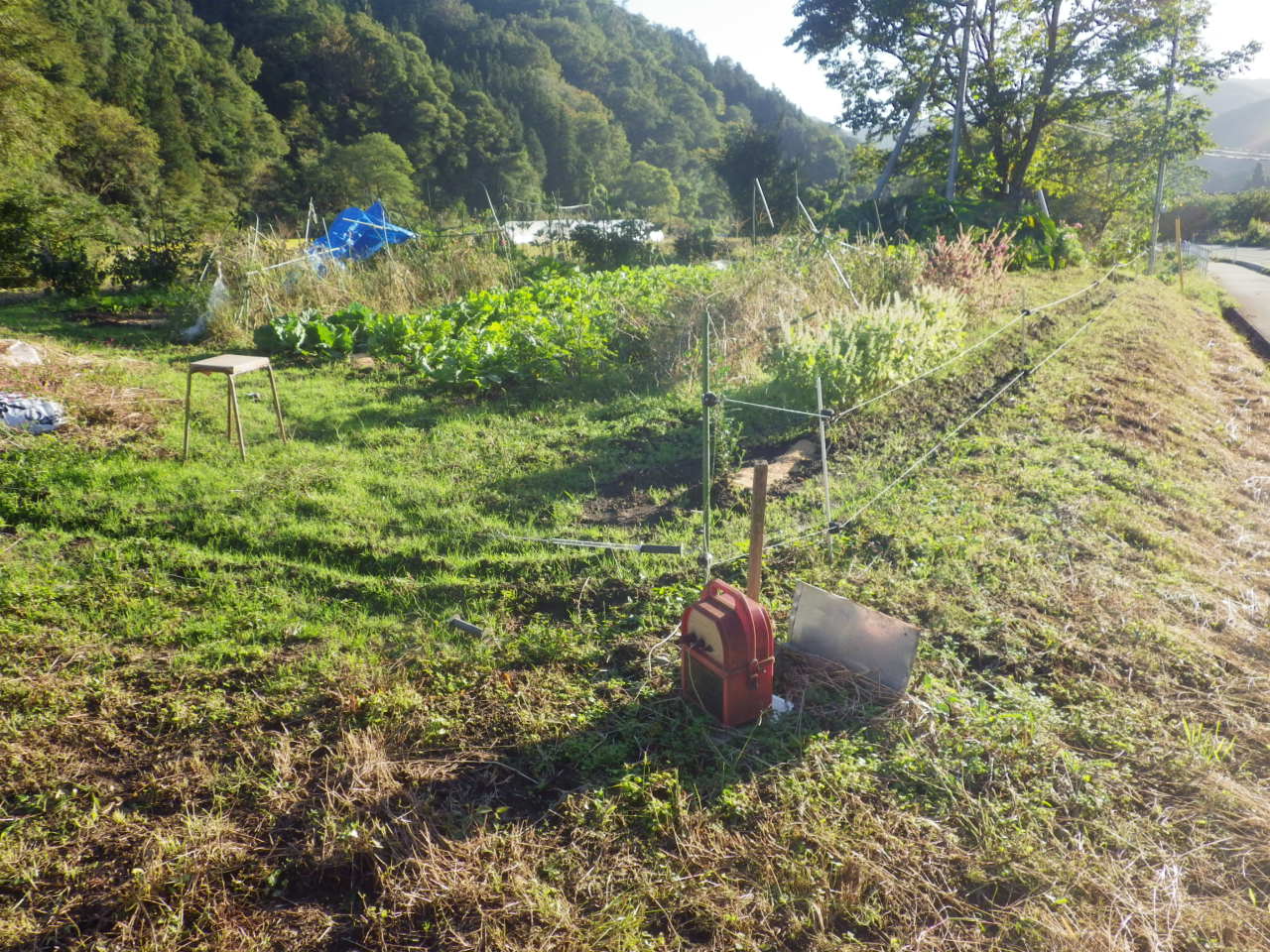c0300035_18141465.jpg
