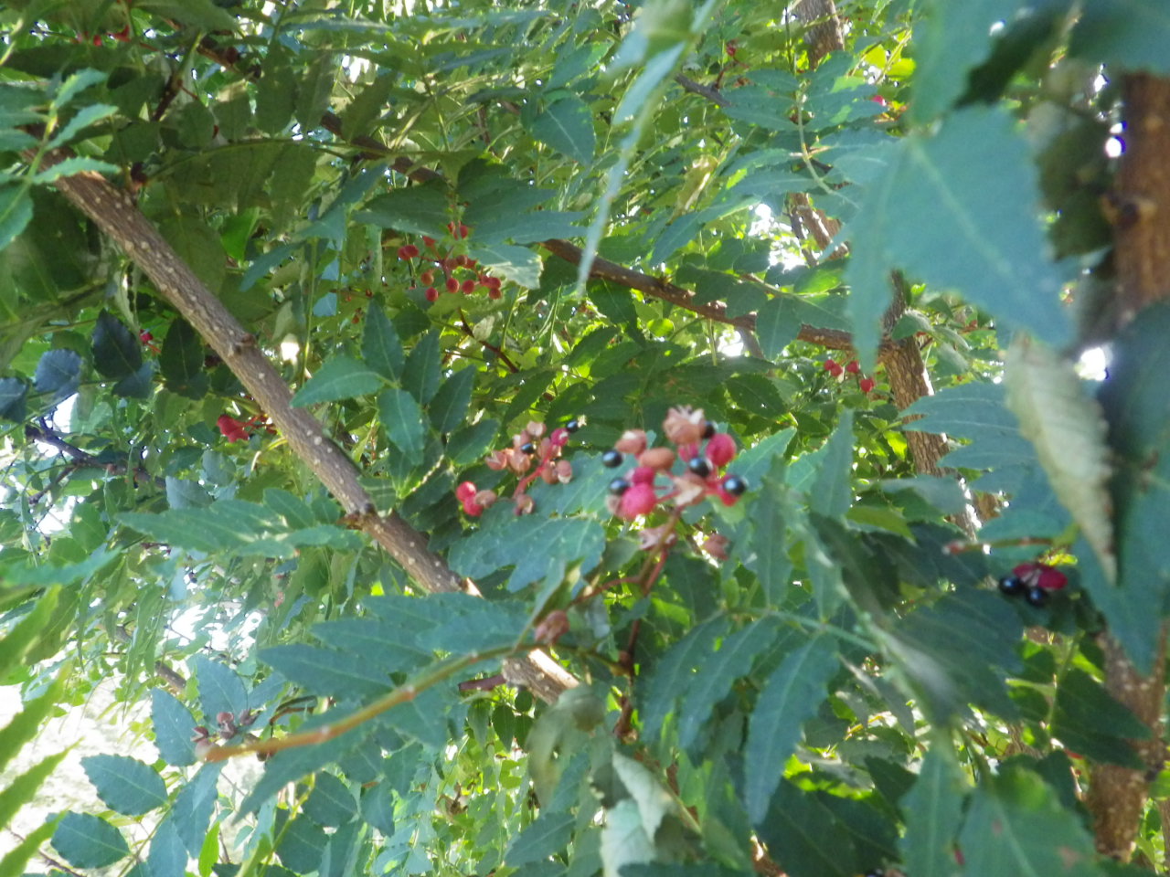 c0300035_1853363.jpg