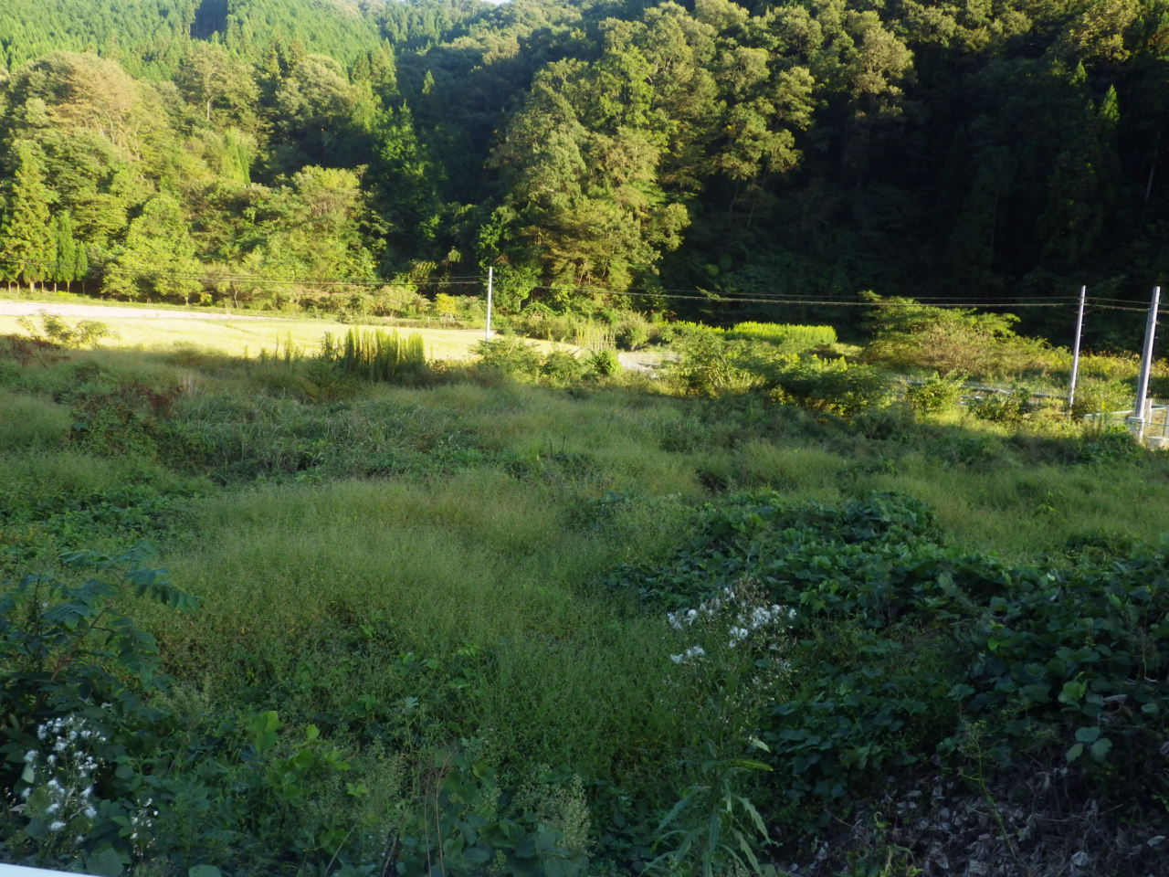 c0300035_189361.jpg