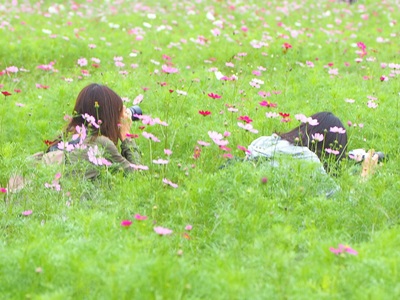 d0178136_13285432.jpg