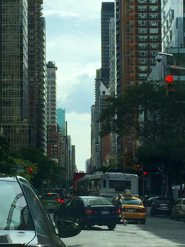 a0224537_5551779.jpg