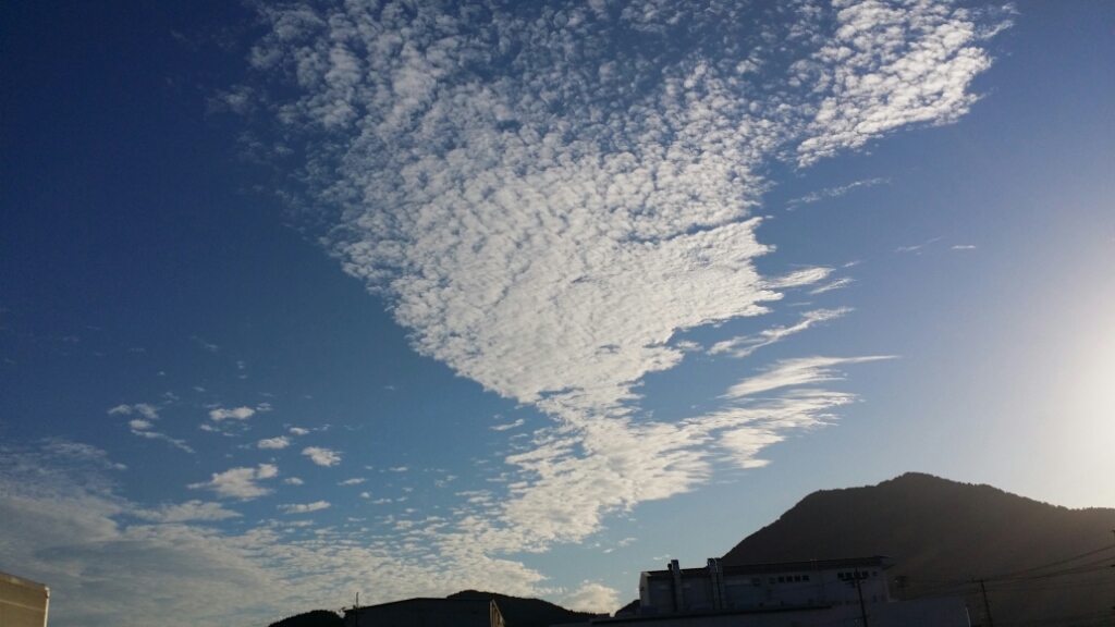 f0046854_22400507.jpg