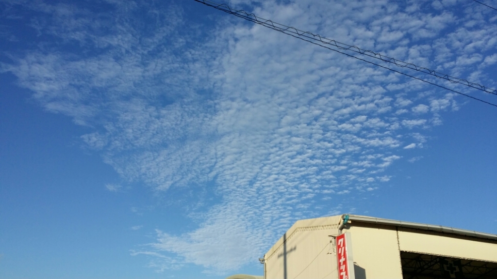 f0046854_22400640.jpg