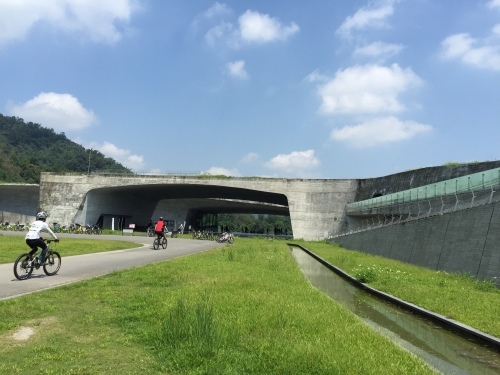 f0149057_17052002.jpg