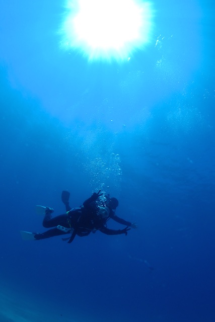 b0062363_20153380.jpg