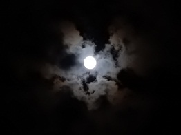 e0175370_9255621.jpg
