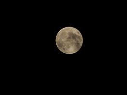 e0175370_9261273.jpg