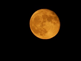 e0175370_9272093.jpg