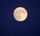 e0175370_9435224.jpg
