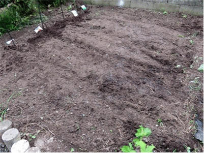 f0003174_16442283.gif