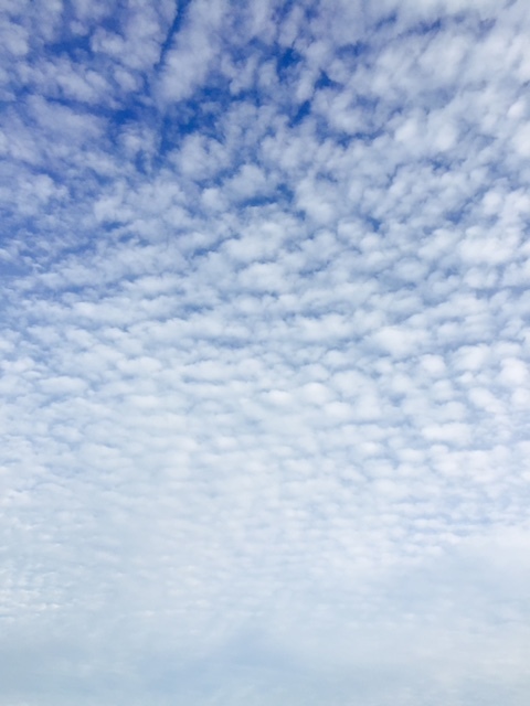 d0233577_19431236.jpg