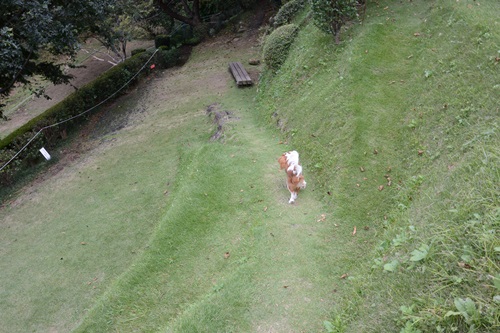 e0114977_12484534.jpg