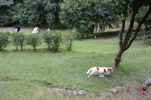 e0114977_12493190.jpg